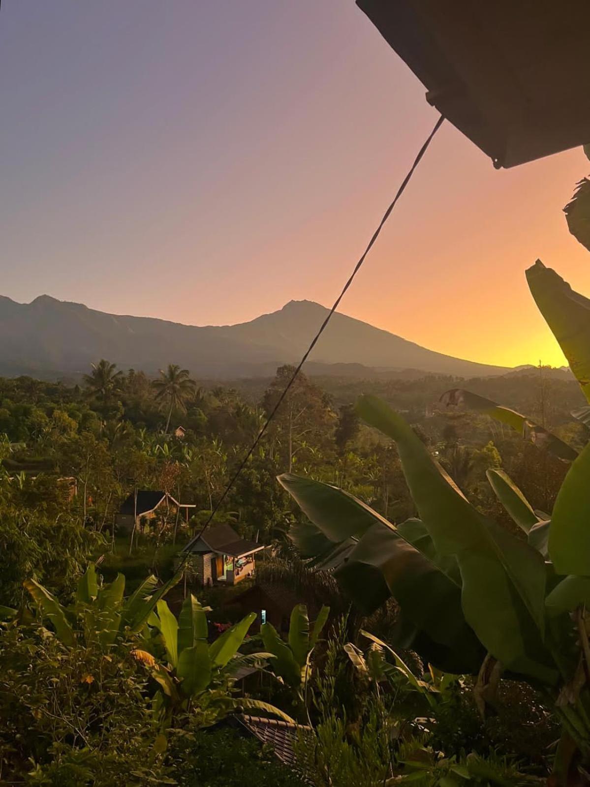 Homestay Indah Tetebatu
