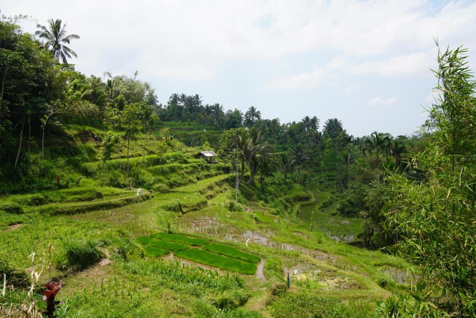 Indah * Tetebatu