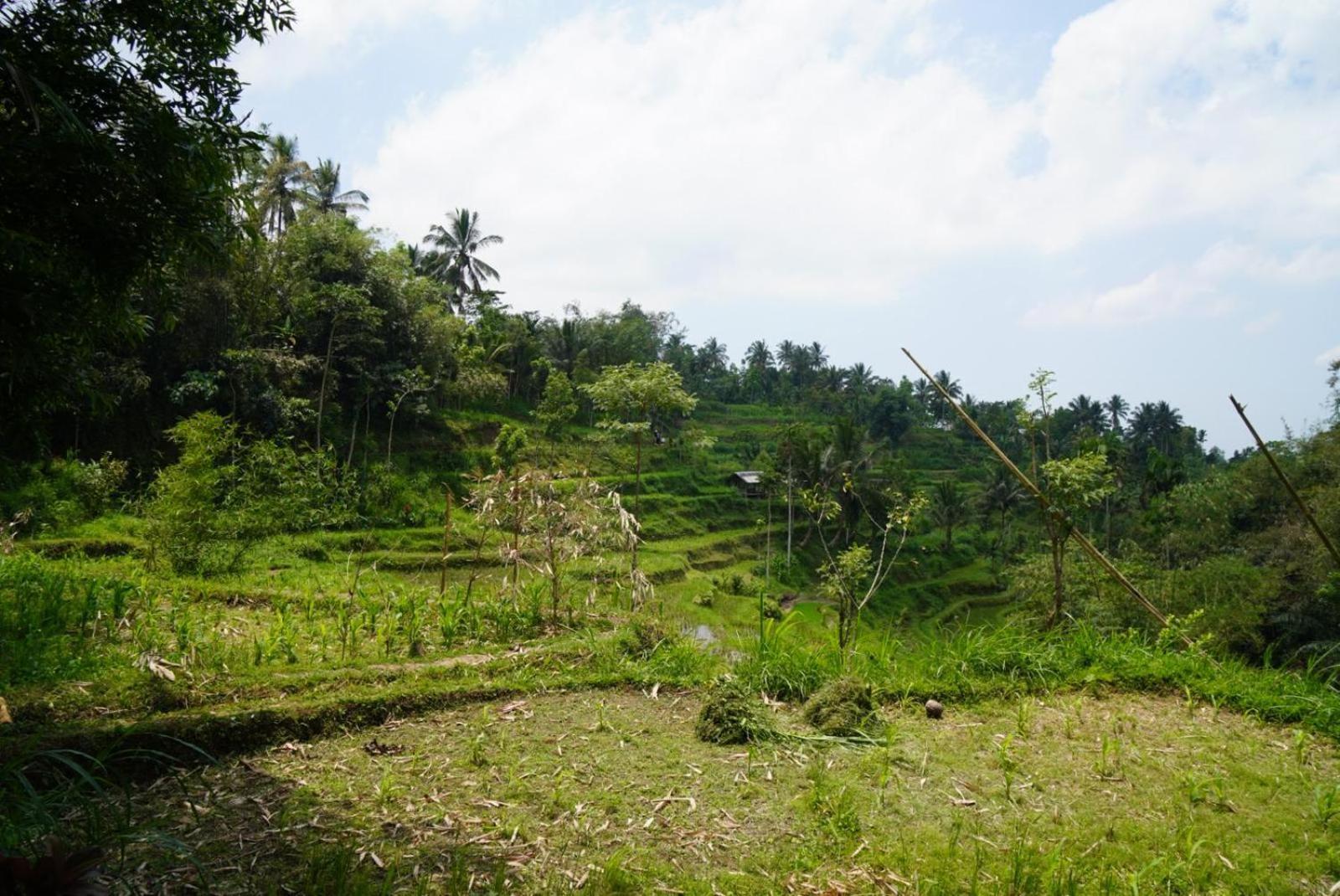 Homestay Indah *