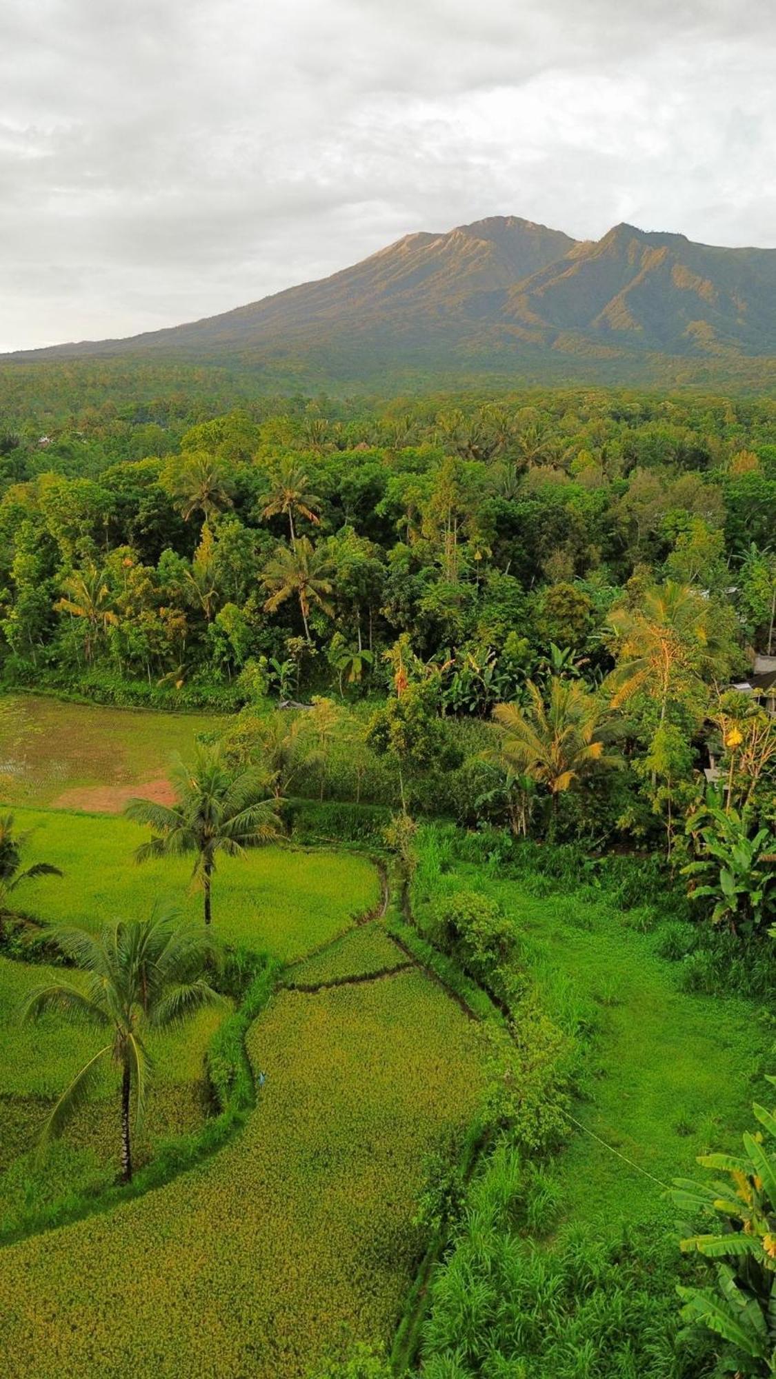 Homestay Indah Tetebatu