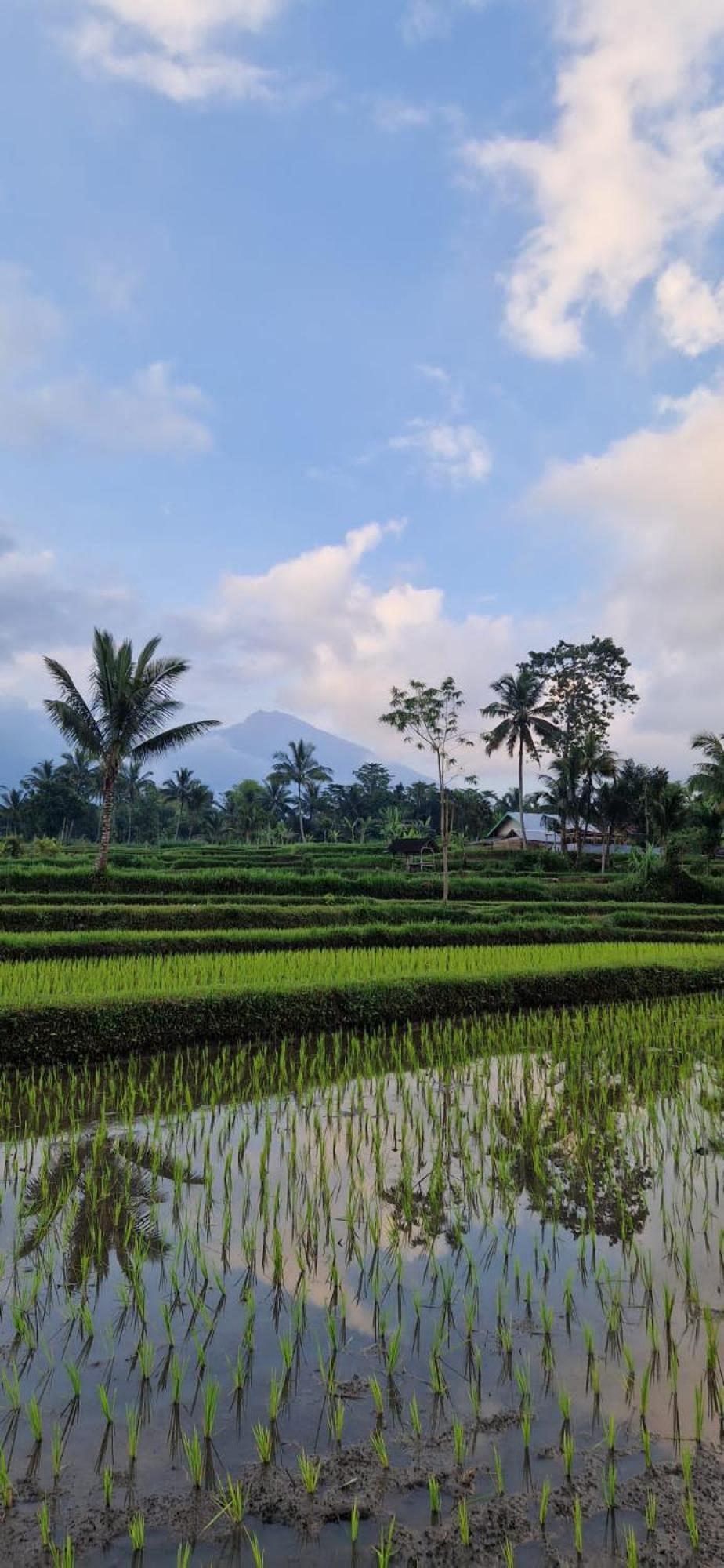 Indah Tetebatu