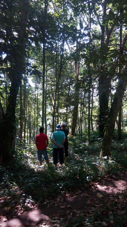 Homestay Indah