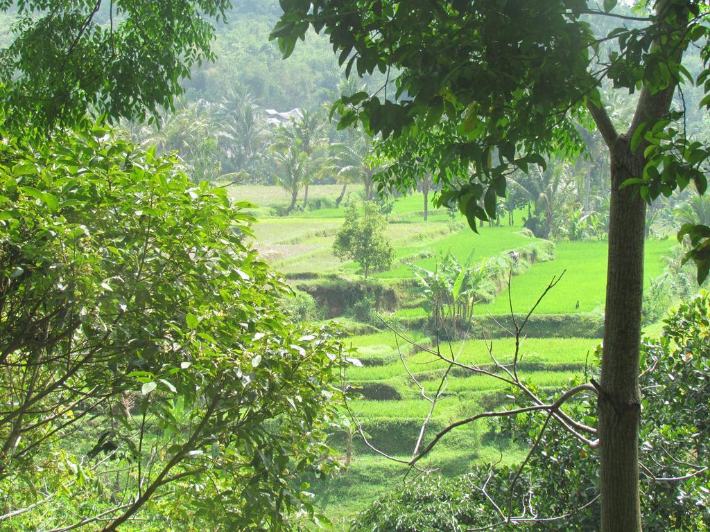 Homestay Indah Tetebatu