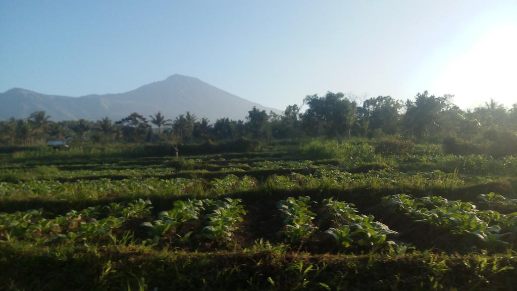 Indah