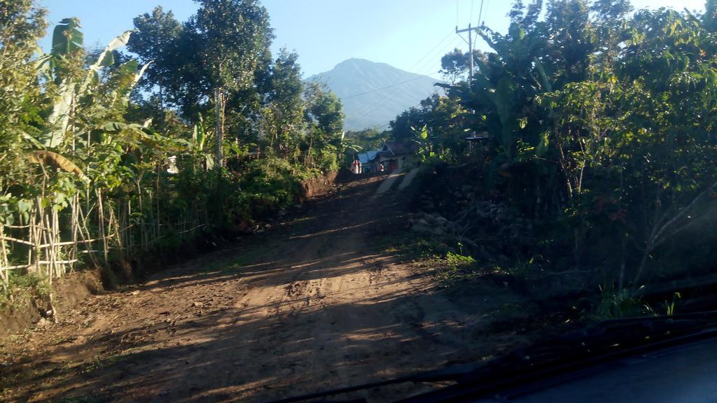 Homestay Indah Tetebatu