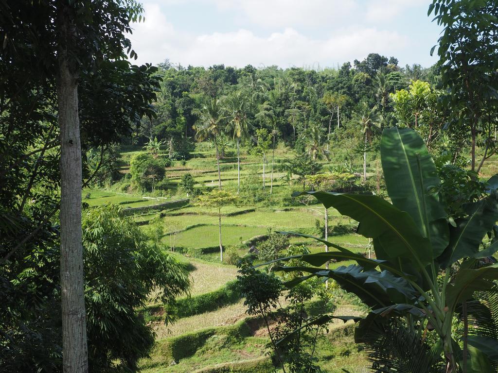 Homestay Indah Tetebatu