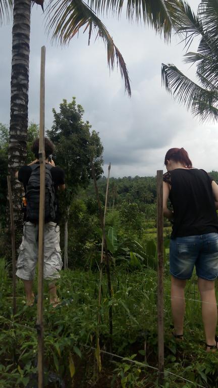 Homestay Indah Tetebatu