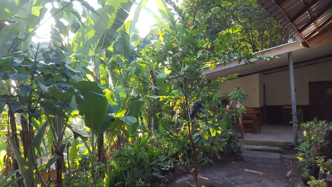 Indah Homestay Tetebatu